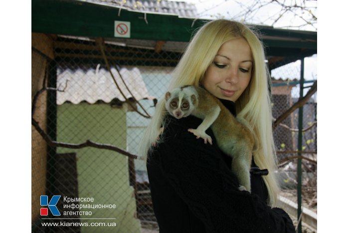 Коллекция зооуголка в Севастополе пополнилась новыми обитателями
