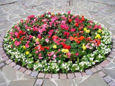 Благоустройство, В Ялте посадили почти 87 тыс. цветов