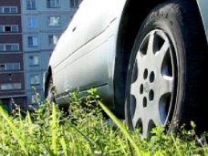 Благоустройство, В Симферополе взялись за автомобилистов, которые паркуются на газонах