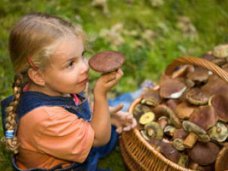 Отравление, В Бахчисарае двухлетний ребенок отравился грибами
