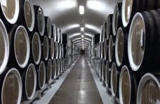 Инвестиции, В Крыму реализуют инвестпроект по созданию нового винодельческого завода