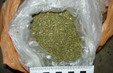 Наркотики, В Крыму задержали двух молодых людей с сумкой марихуаны