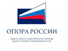 В Крыму и Севастополе созданы отделения «Опоры России»