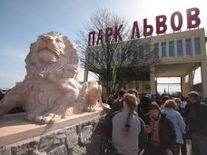 В парке львов «Тайган» выросла цена на входной билет