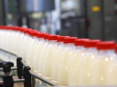 В Евпатории приостановил работу молочный завод 